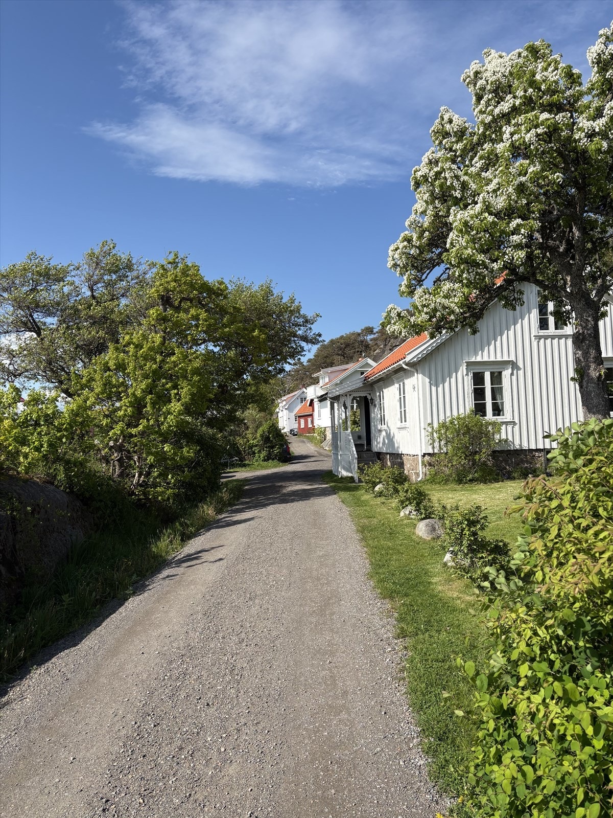 Sjarmerende område med koselig sti fra Budal til Langvika Galleribilde