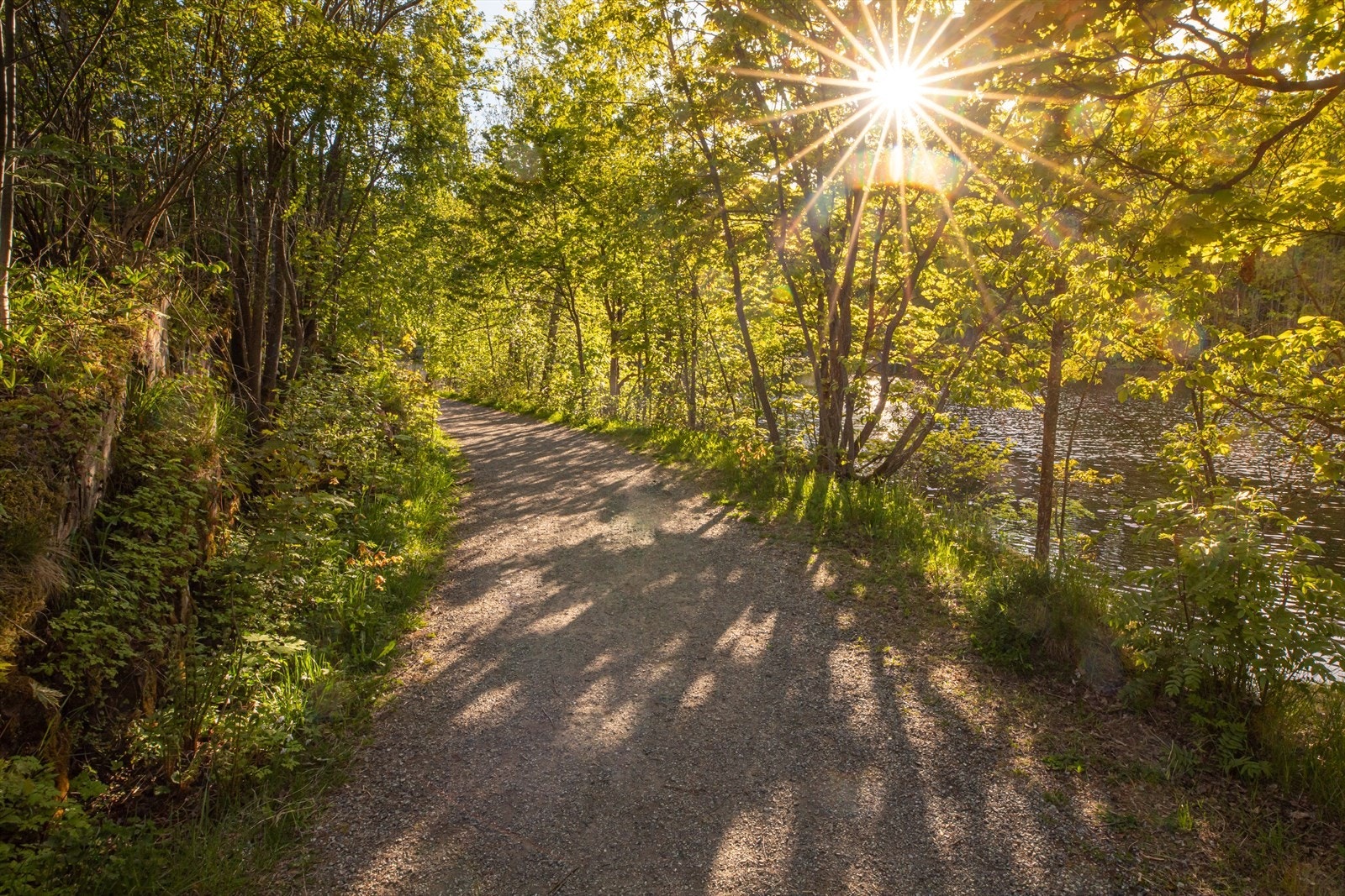 Eiendommen ligger ca. 400 meter fra bussholdeplassen, Leangbukta. Herfra går det hyppig ekspressbuss via Lysaker til Oslo i rushtiden. Galleribilde
