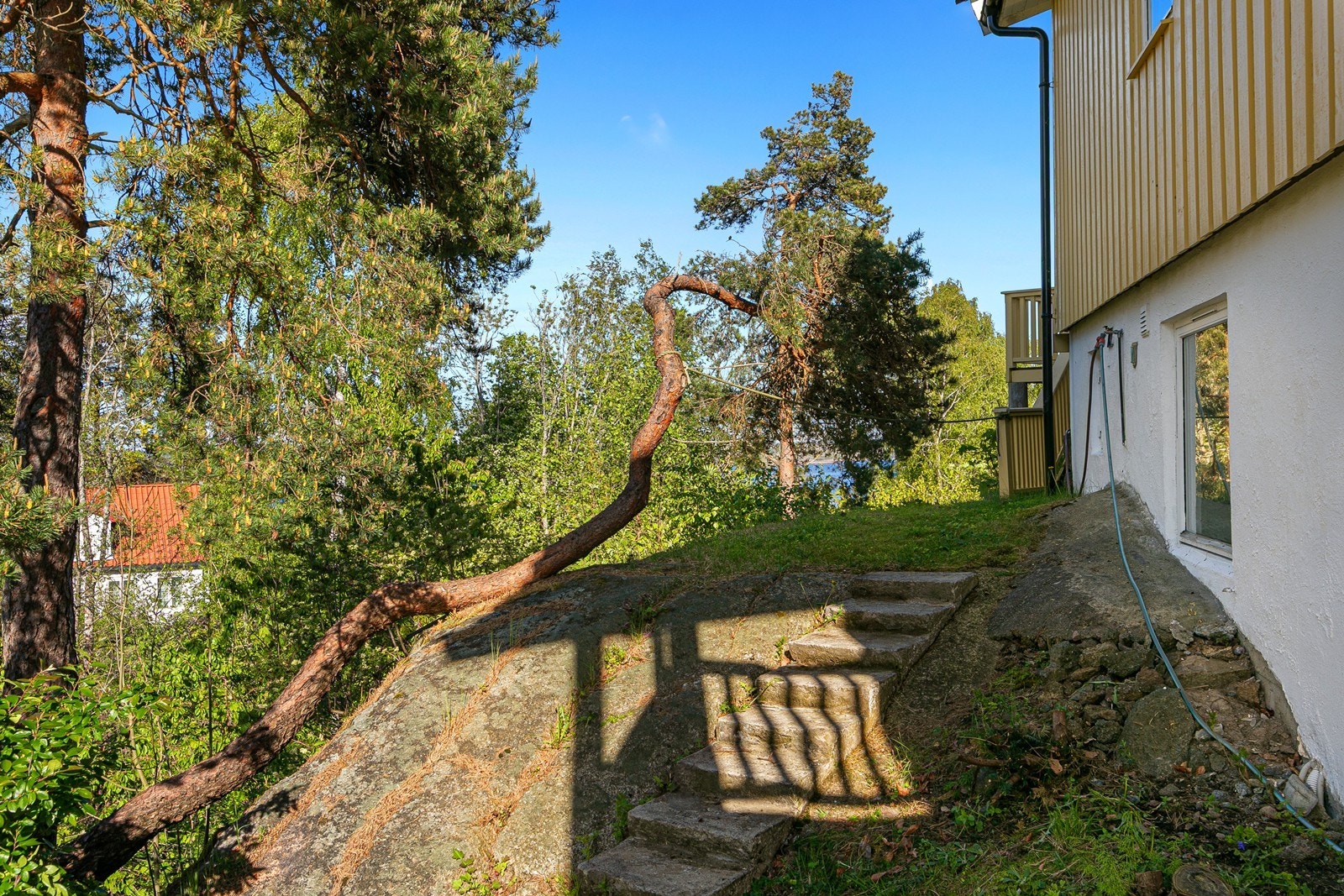 Tomten er en hellende naturtomt med fjell i dagen og plen. Galleribilde