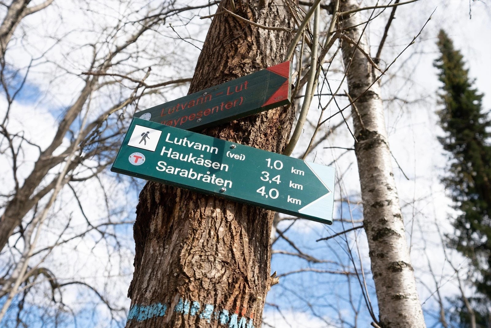 Nabolaget byr på fine turmuligheter for den som er glad i natur og rekreasjon. Galleribilde