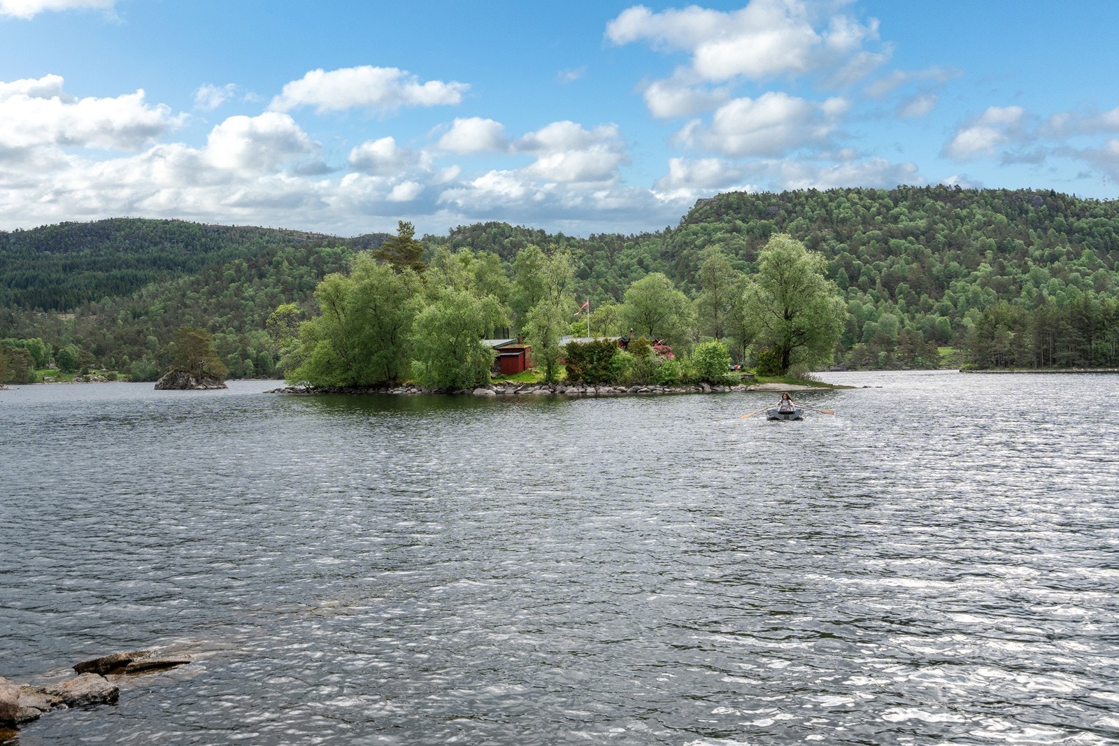 TIM05842 Galleribilde