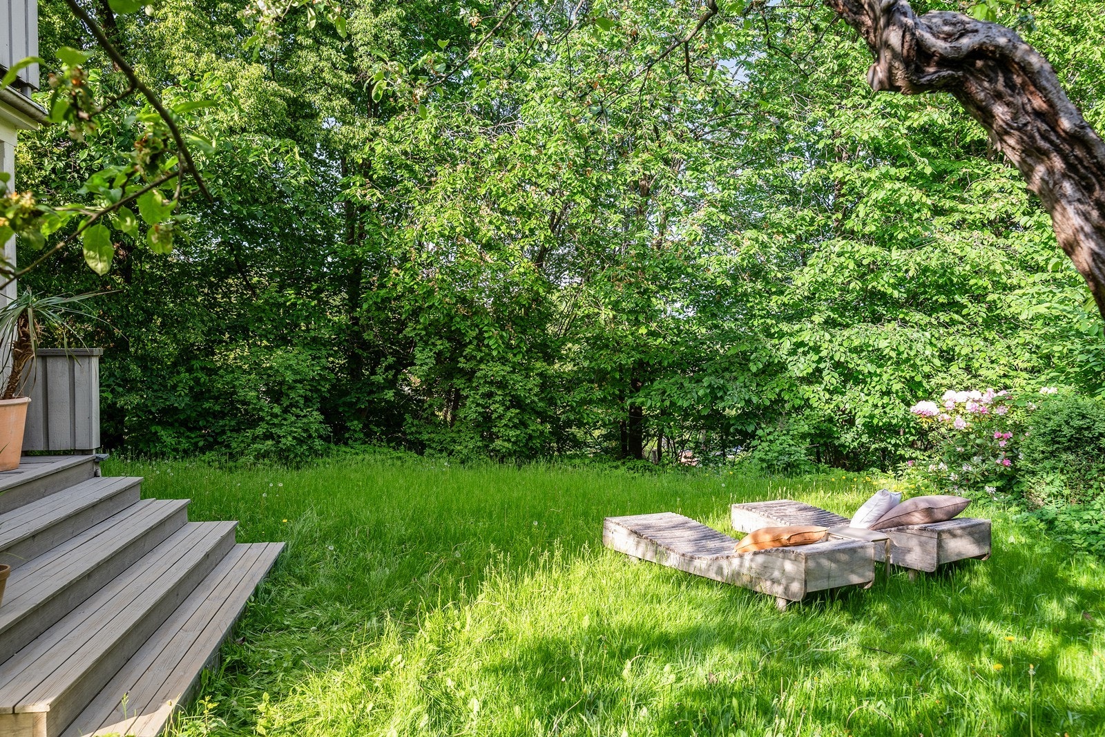 Direkte utgang fra verandaen til den store gressplenen. Galleribilde