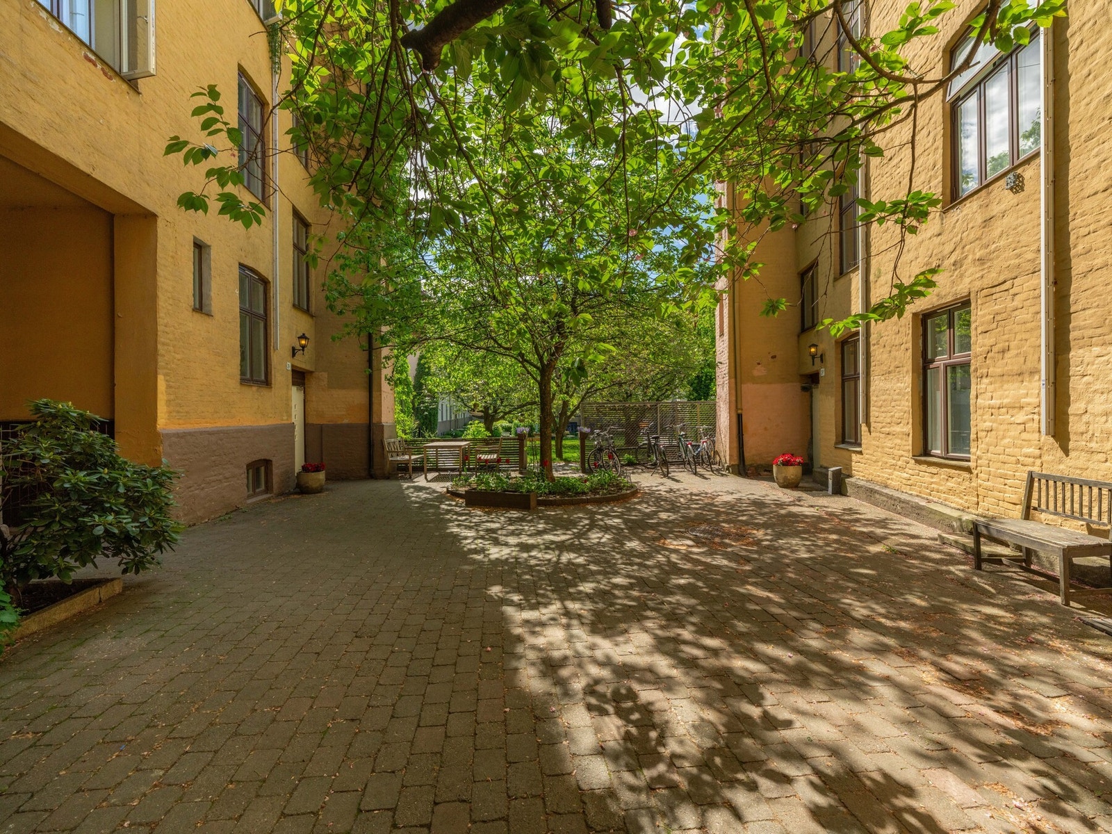 Sameiet har et nydelig og svært idyllisk gårdsrom. Galleribilde