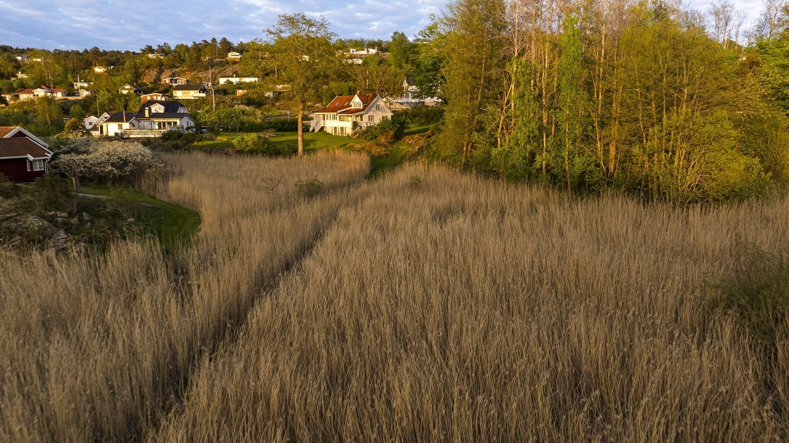 Området byr på ekte sommeridyll med holmer, viker og et hyggelig kystmiljø. Galleribilde