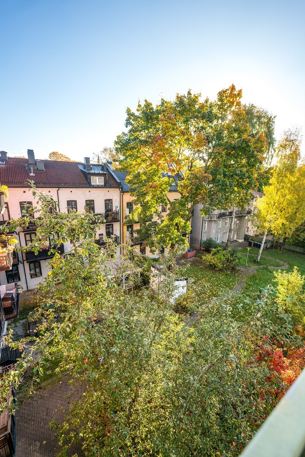 Åpent, frodig og fint utsyn mot den nydelige bakgården. Galleribilde
