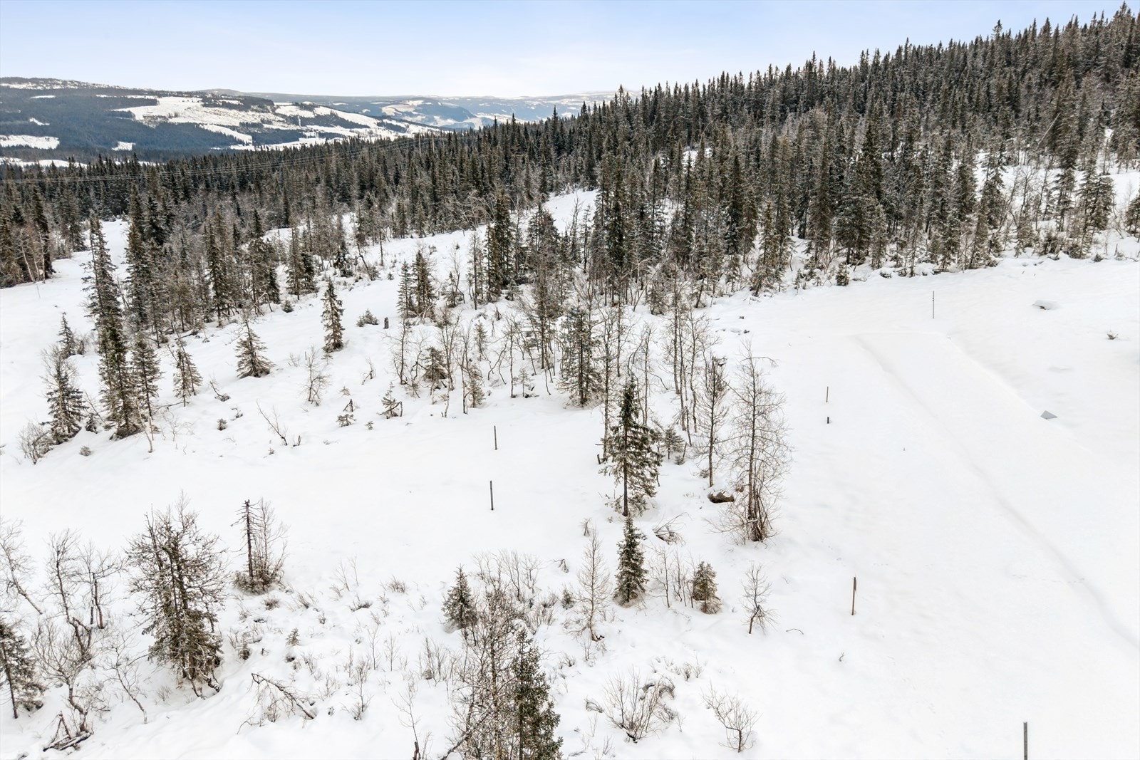 Herfra har du umiddelbar nærhet til fjellet og et nettverk av turstier og skiløyper. Galleribilde