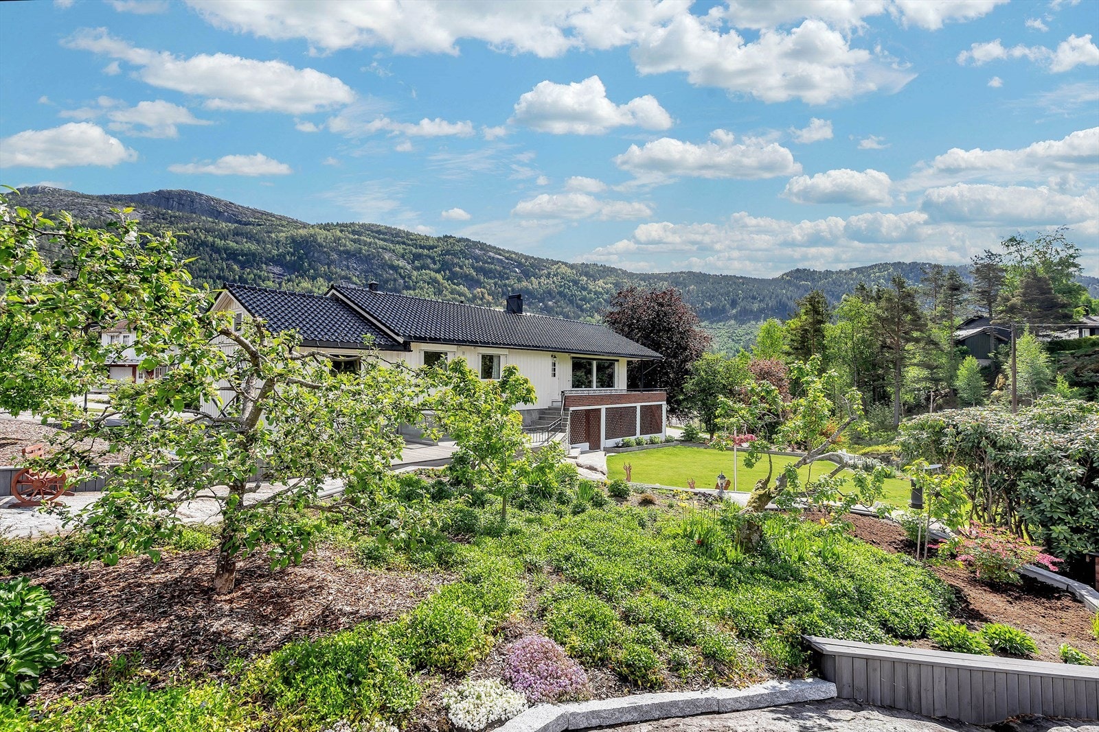 Godt med beplantning i hage Galleribilde