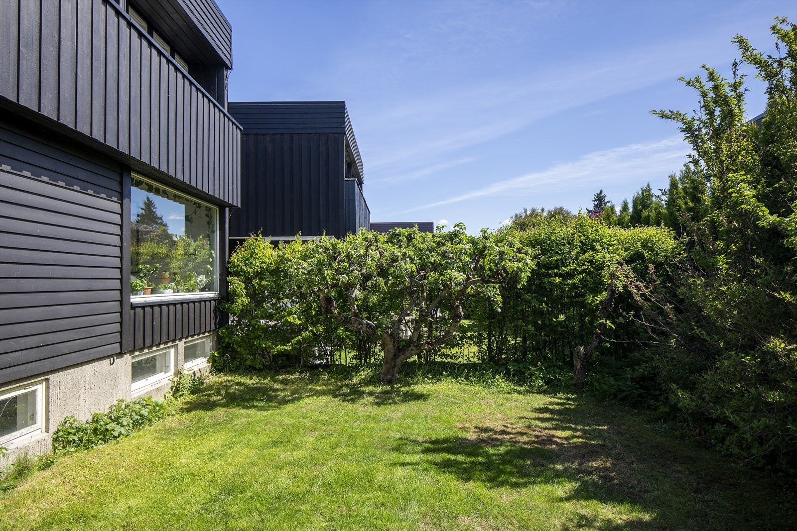 Hyggelig, grønne omgivelser perfekt for både store og små! Galleribilde