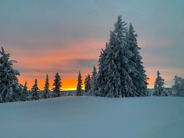 Nydelig solnedgang fanget på selgers kamera. Galleribilde