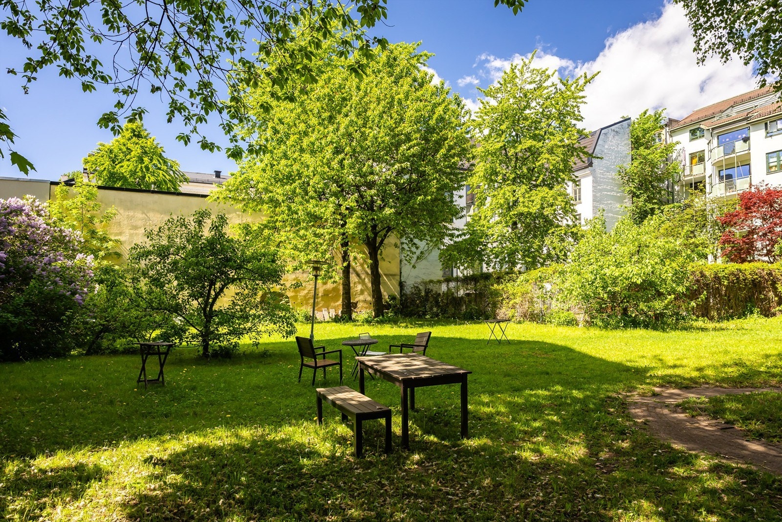Hyggelige fellesområder. Galleribilde