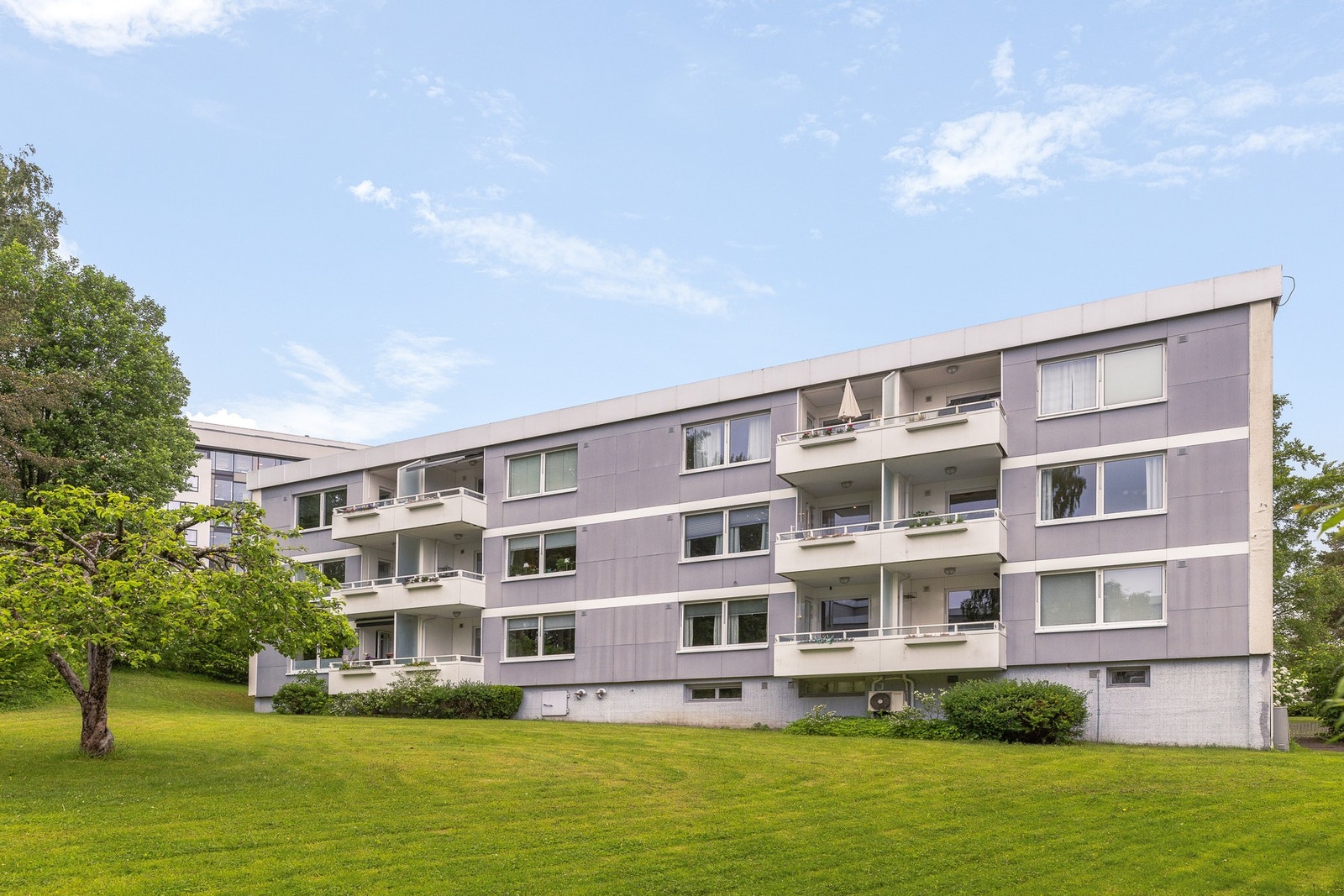 Velkommen til visning! Galleribilde