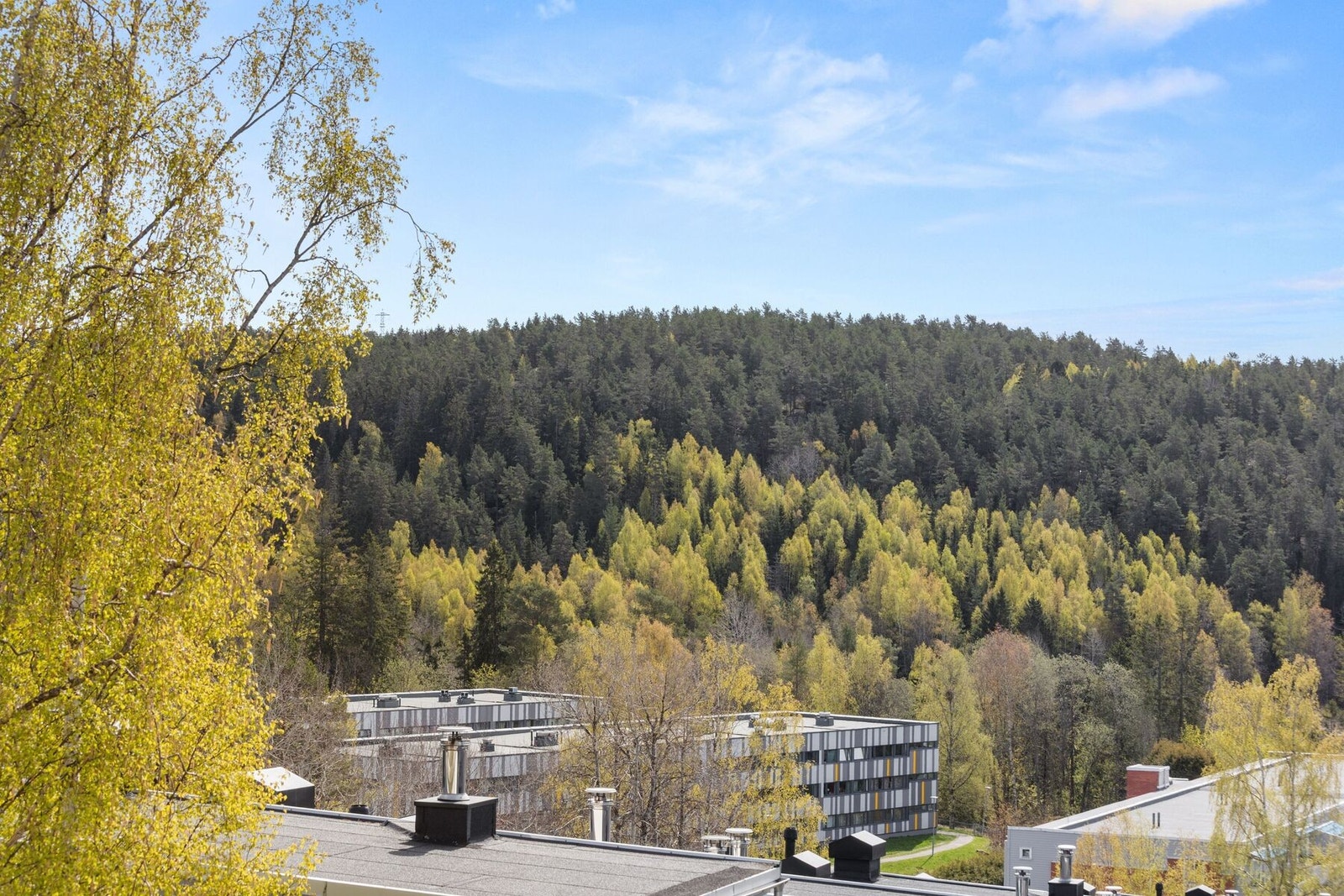 Utsikt fra balkongen mot inngangen til Østmarka. Galleribilde
