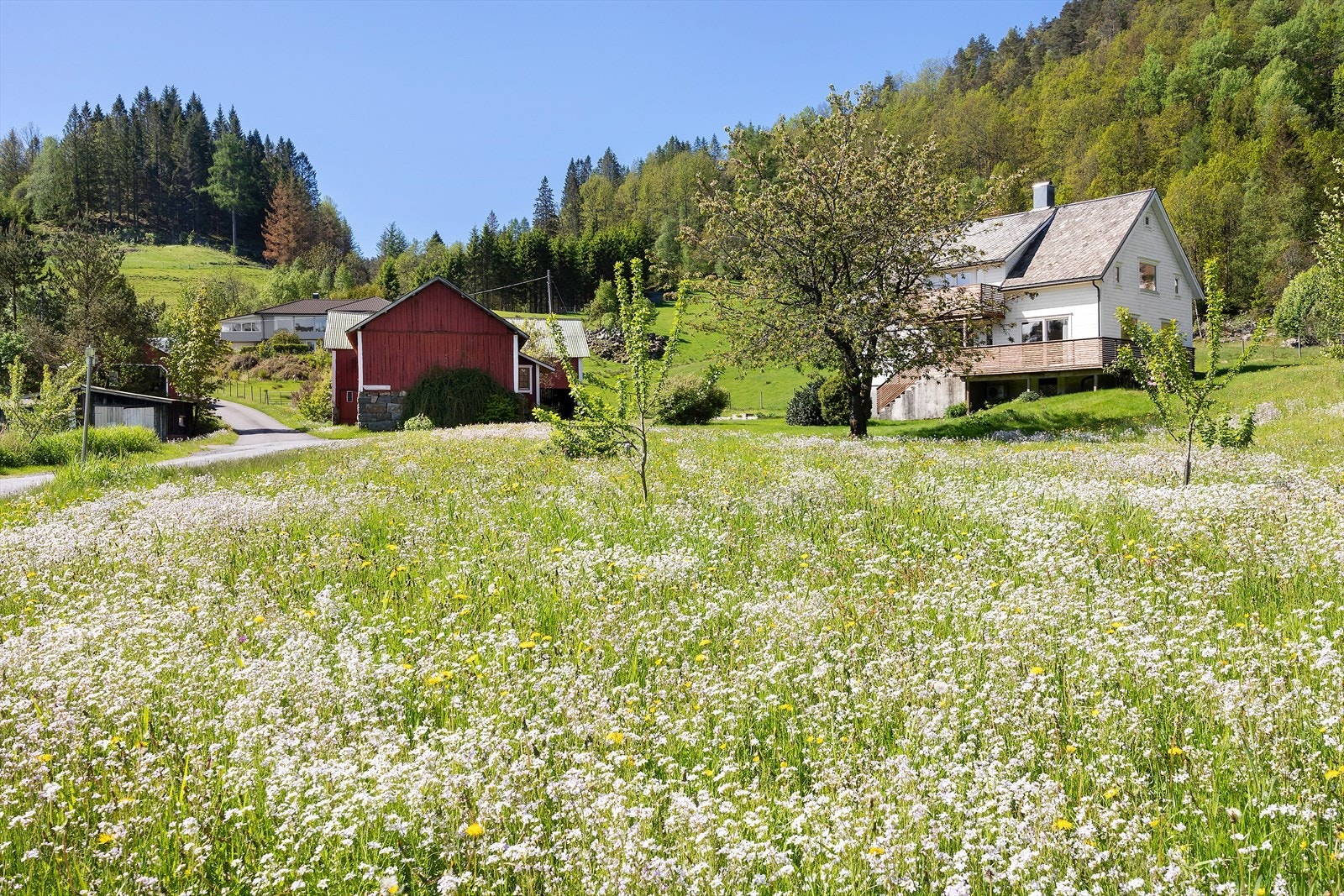 Gårdsbruket ligger i et landlig og åpent landskap. Galleribilde