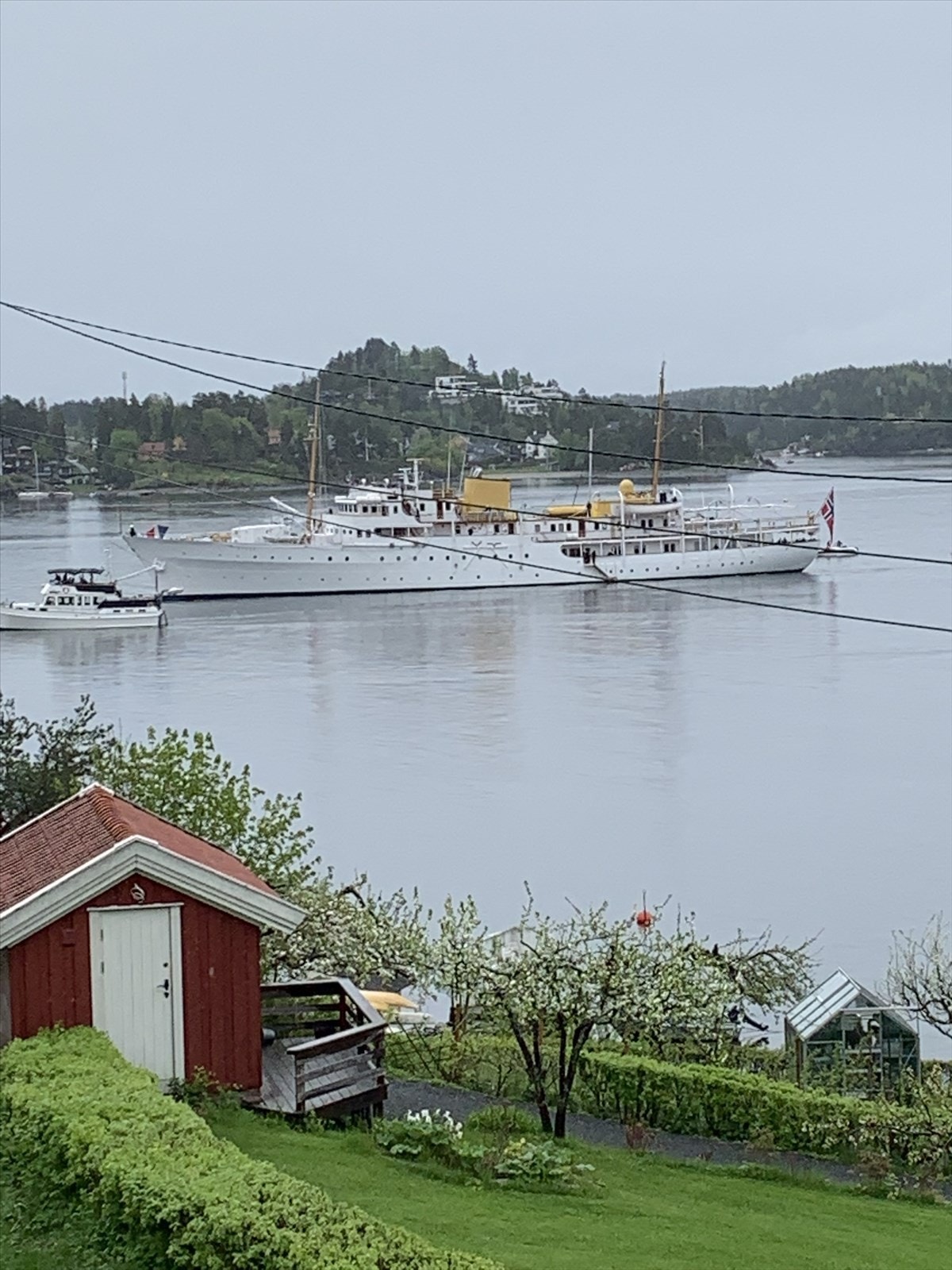 Selgers eget bilde Galleribilde