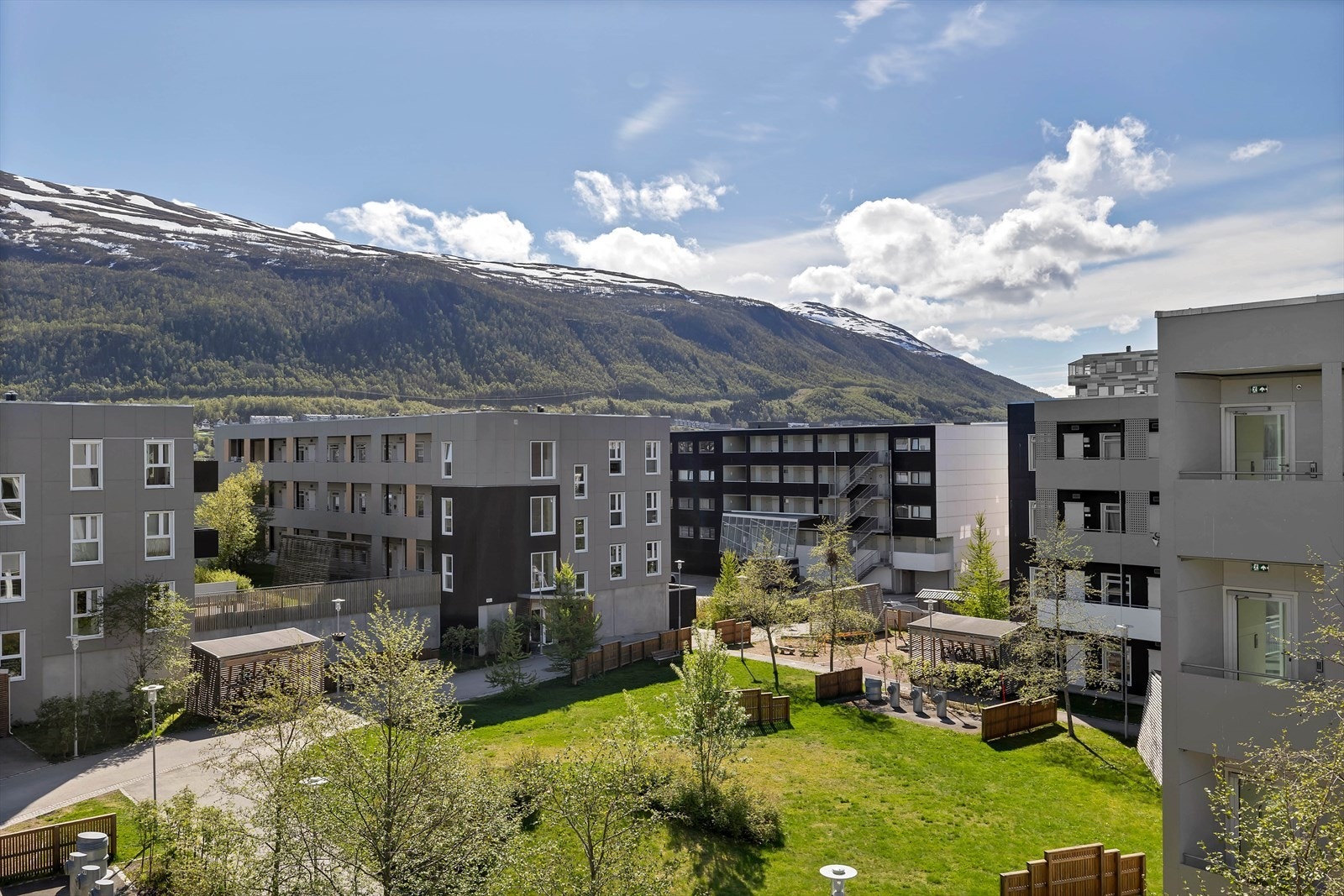 Område Galleribilde