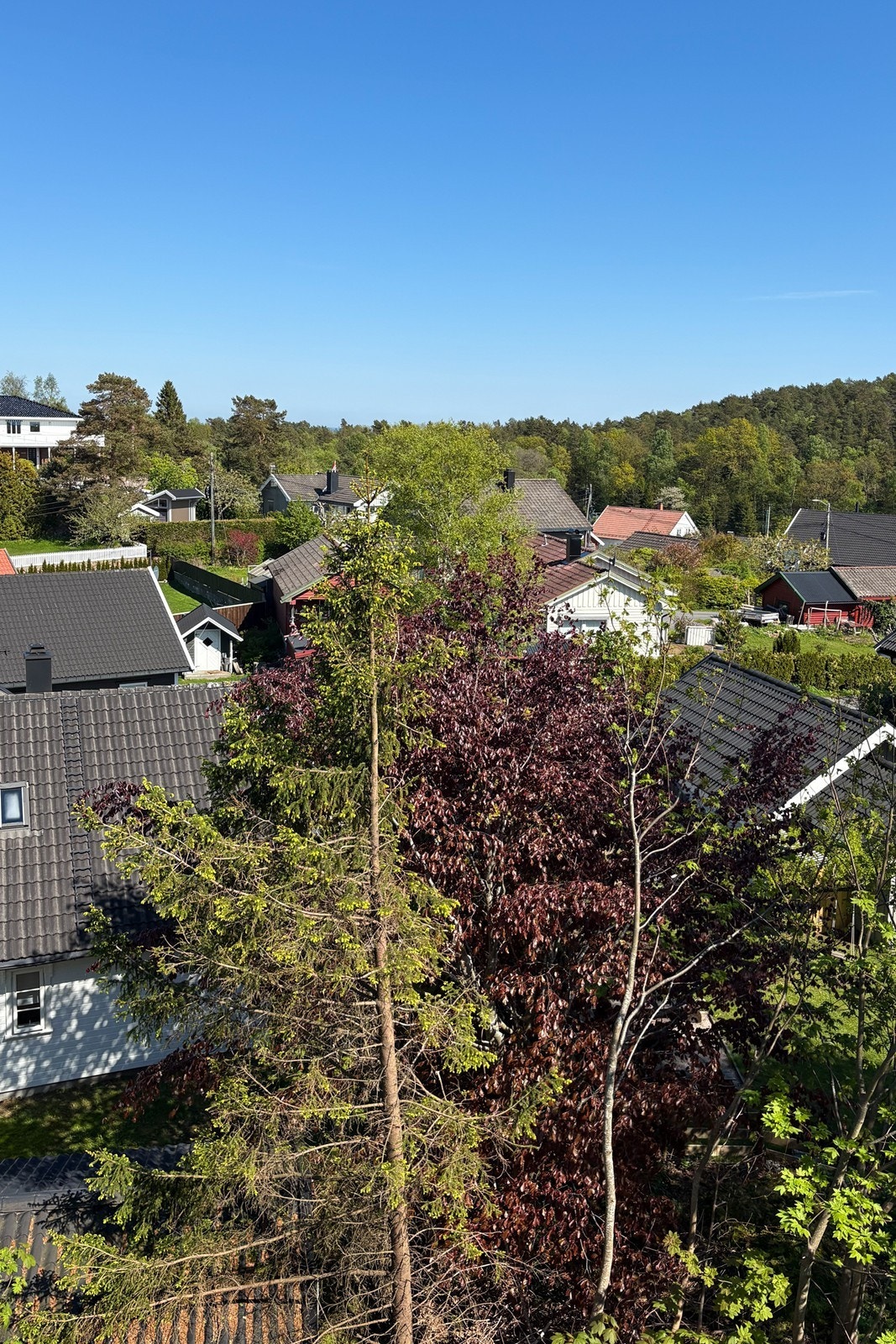 Hyggelig utsyn til områdene rundt. Galleribilde