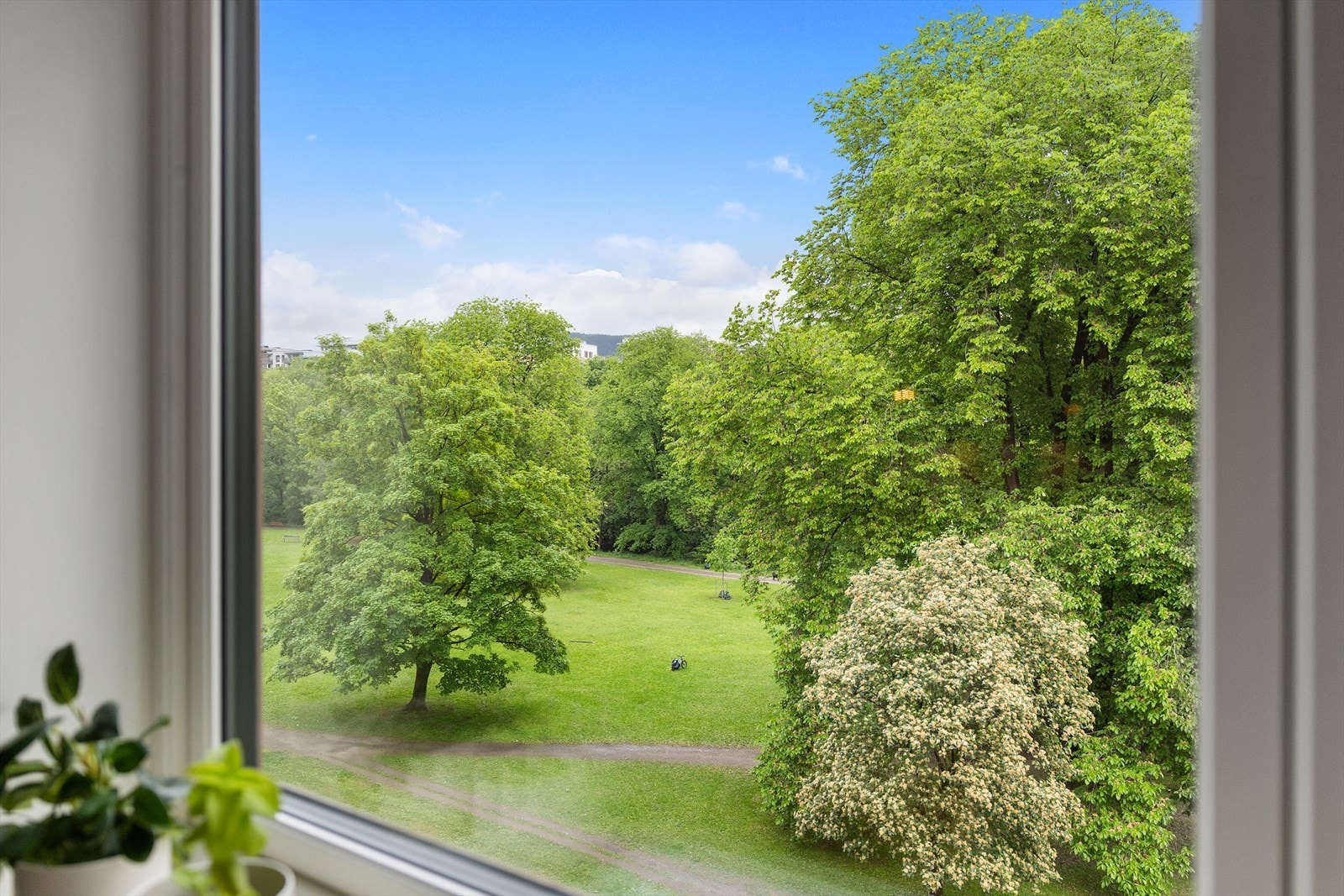 Fra stuevinduet har man et flott og grønt utsyn mot frodige omgivelser, som skaper en rolig, skjermet og svært hyggelig atmosfære. Galleribilde