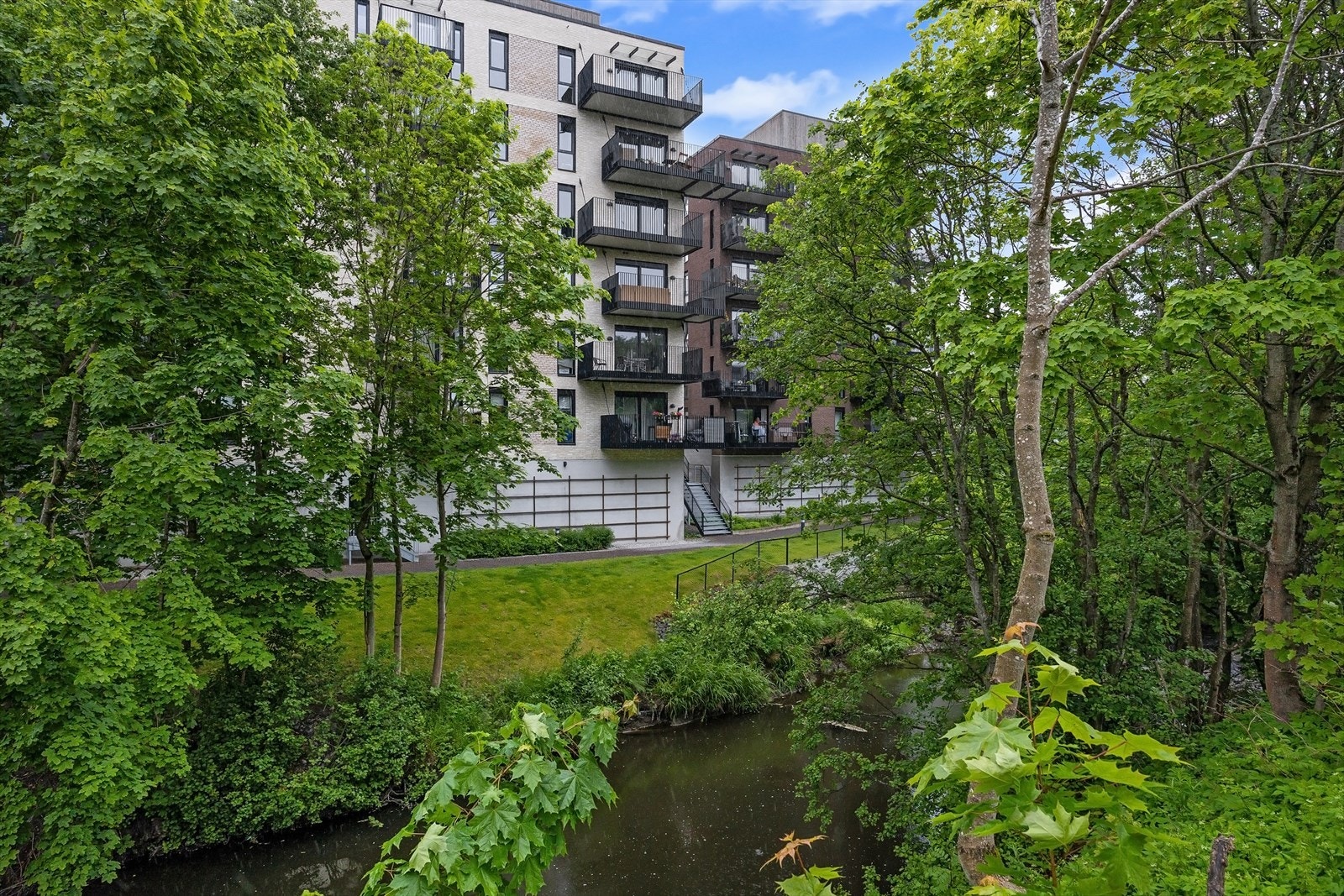 Grønne og frodige omgivelser. Galleribilde