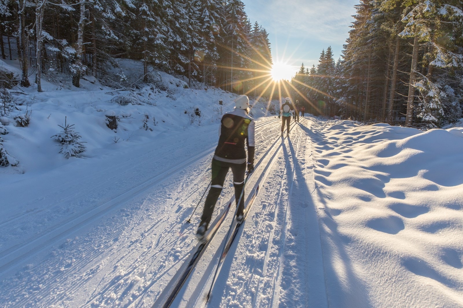 Kort vei til helårs turterreng. Galleribilde