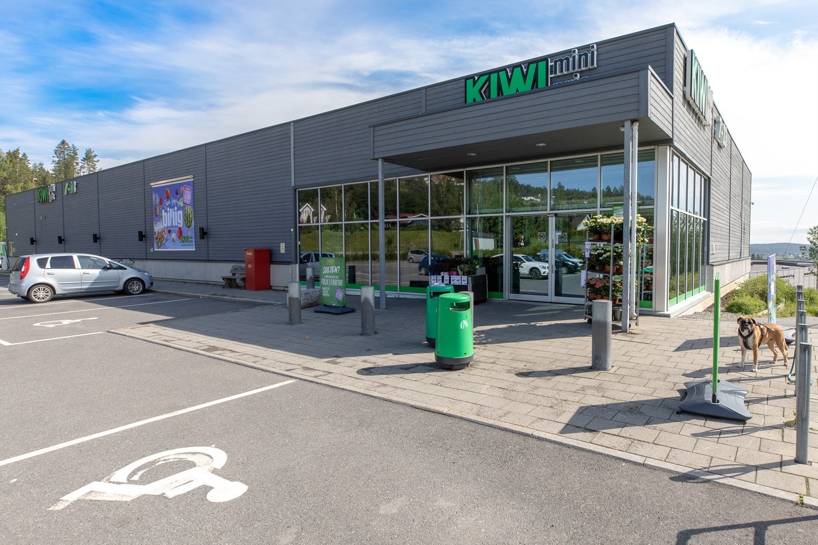 Kiwi Vardefjellet. Galleribilde