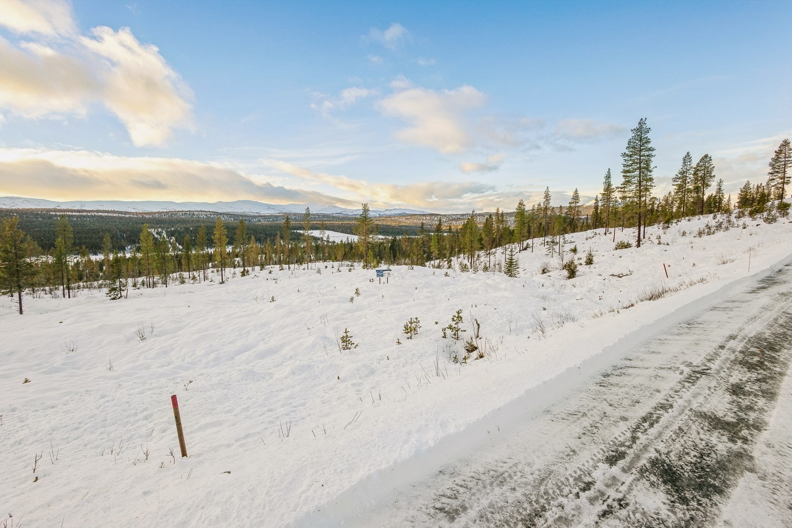Fra tomten har man utsikt mot fjellene i horisonten. Galleribilde