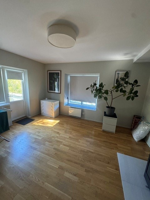 Romslig stue Galleribilde
