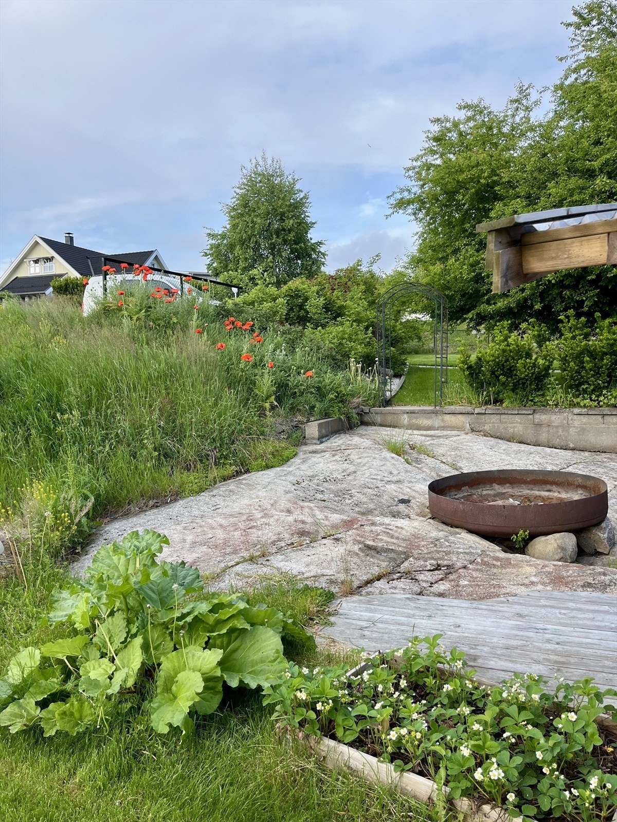 Velstelt hage med vakre beplantninger og rikelig plass til dyrking av grønnsaker og andre vekster. Galleribilde