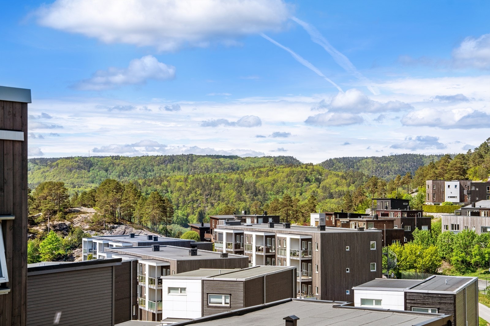 Utsikt mot grønne, skogkledde åser i nærområdet. Galleribilde