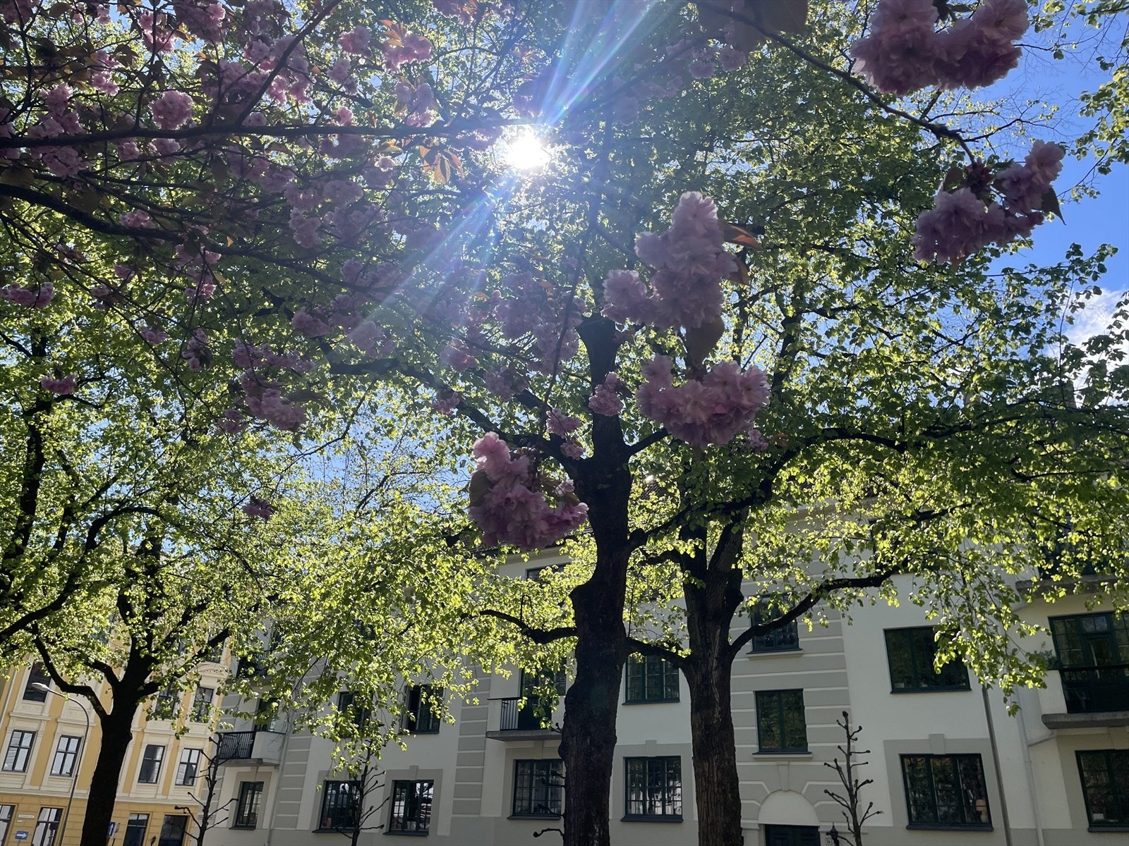 Nærområdet - selgers egne bilder Galleribilde