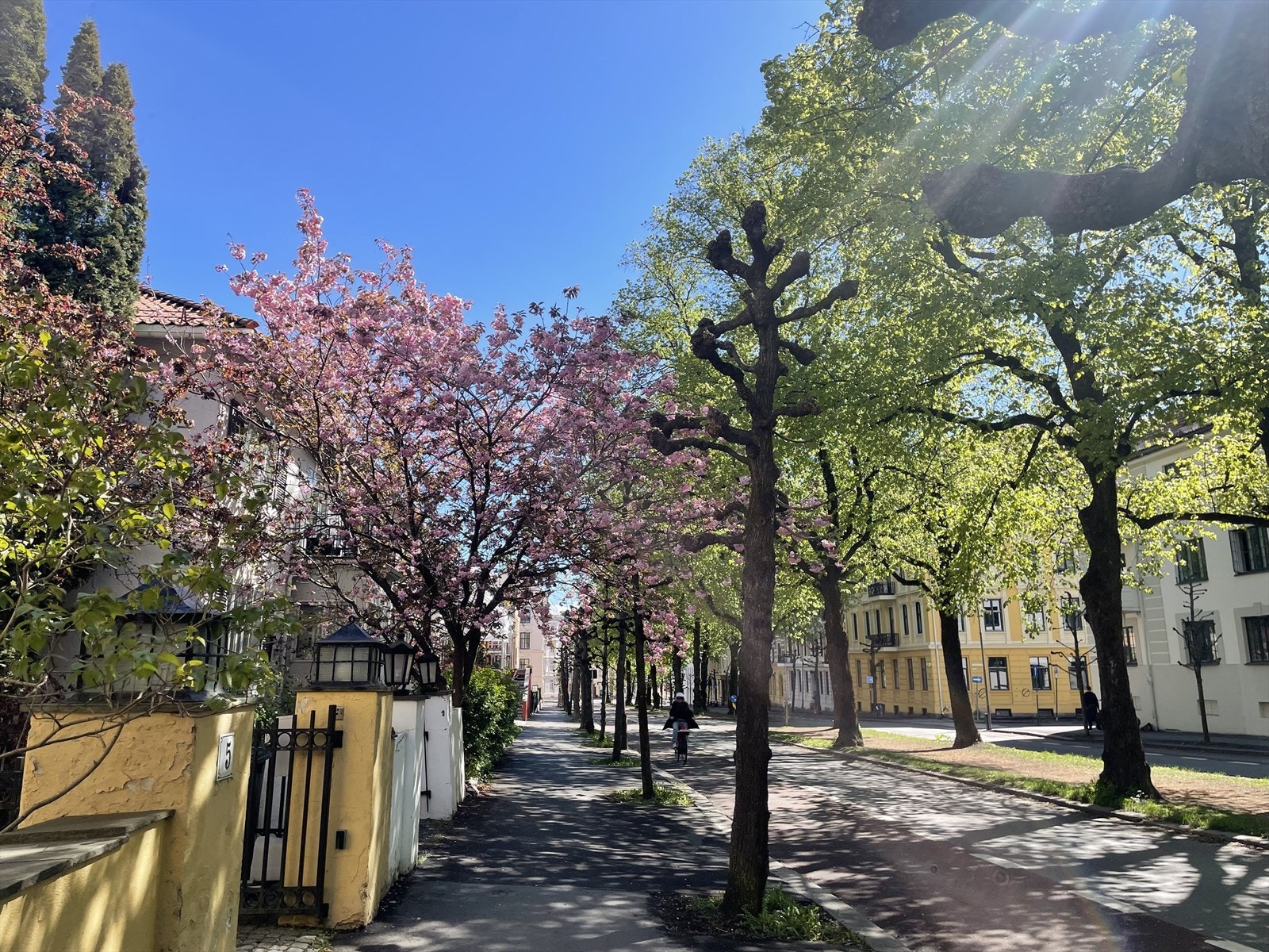 Nærområdet - selgers egne bilder Galleribilde