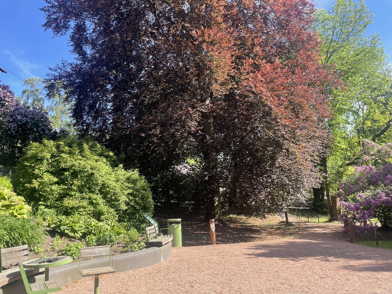 Nærområde - selgers egne bilder Galleribilde