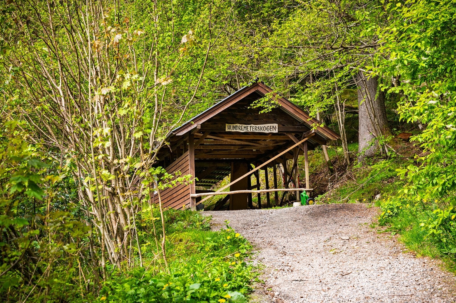- Hundremeterskogen er også et fint turområde i området - Galleribilde