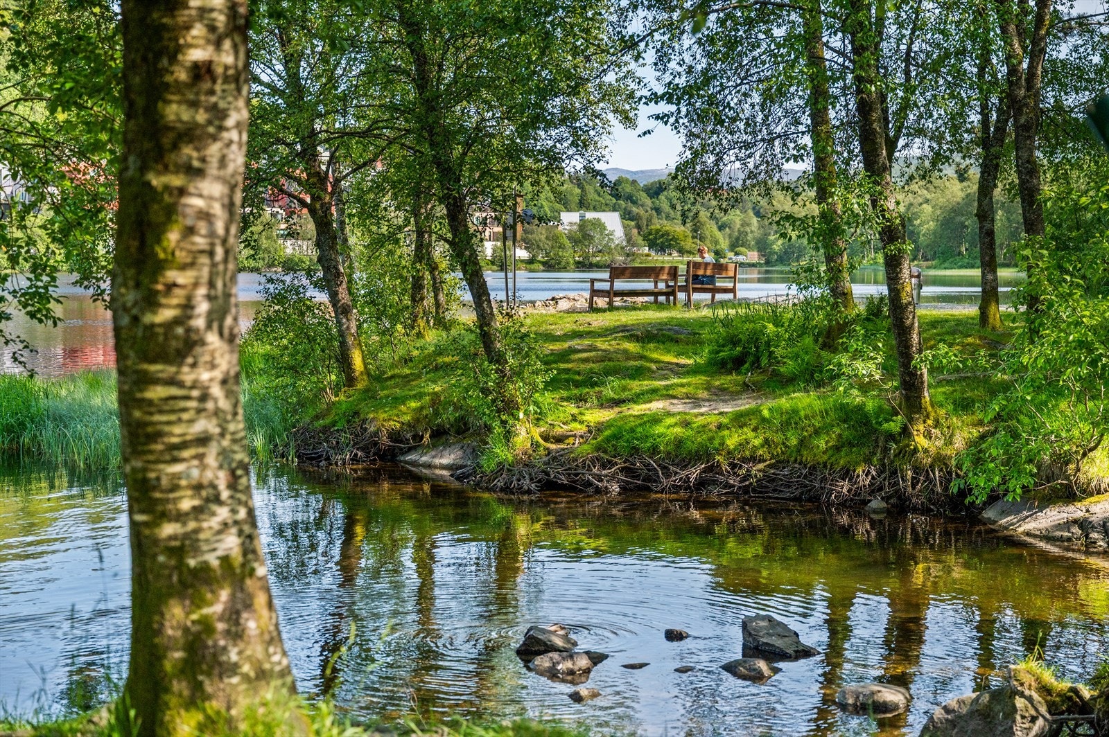 - Fra leiligheten er det kort veit til Liavatnet som er et yndig turmål, hvor man også finner en hundepark - Galleribilde