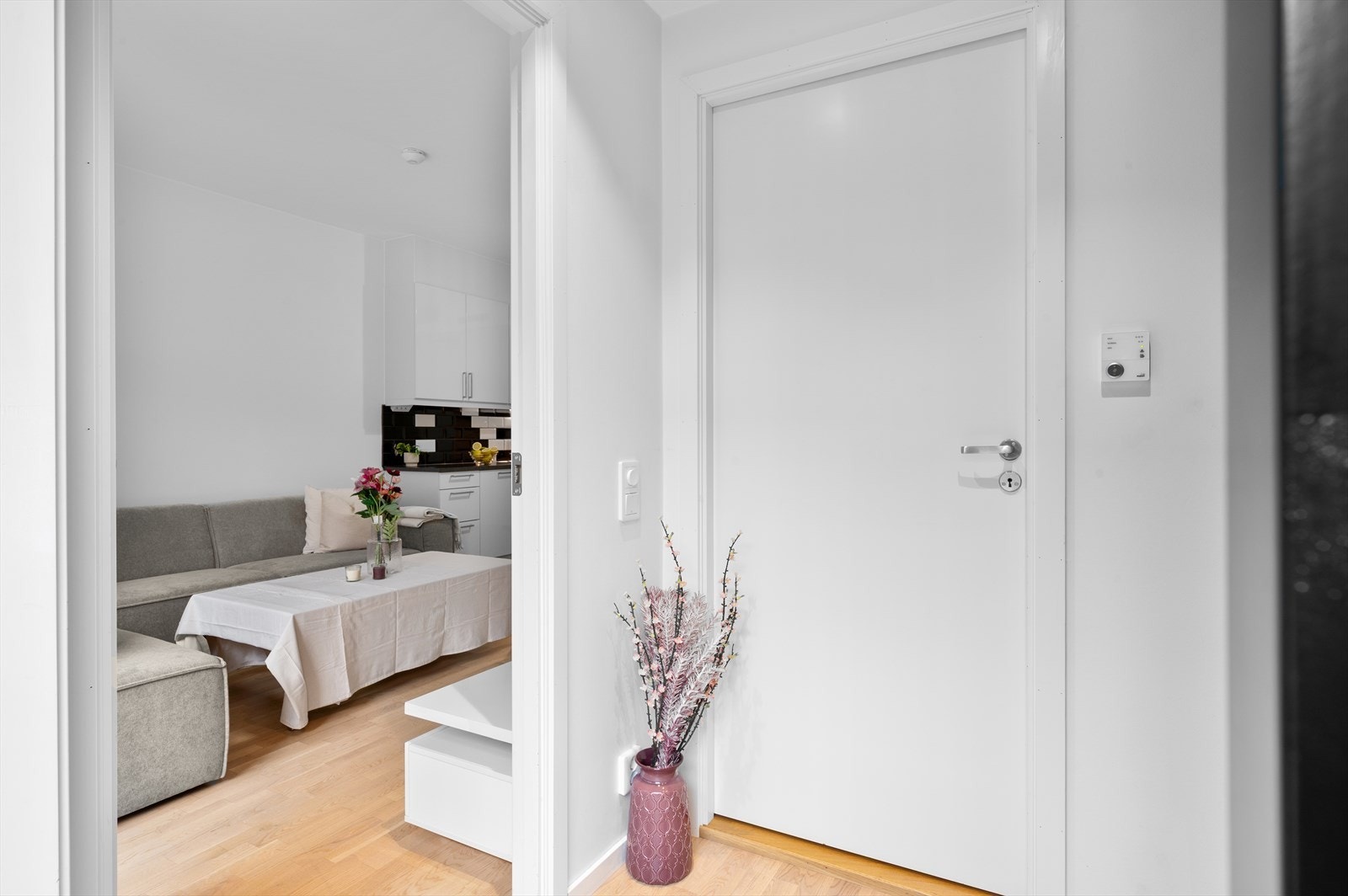 - Du blir ønsket velkommen hjem til en svært innbydende entré som måler 2,9 m² - Galleribilde