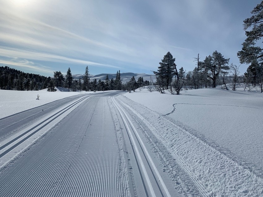 Stemning vinter Galleribilde