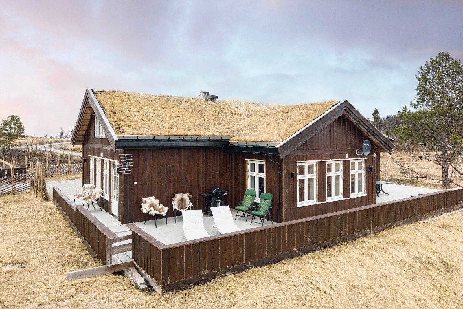 Solrikt område. Galleribilde