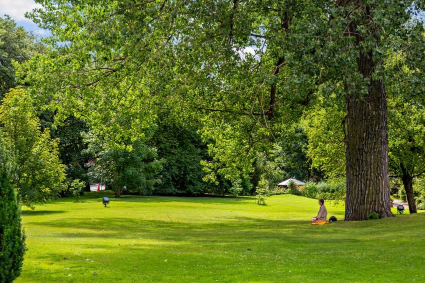 Vakre Botaniske Hage er også i nærmiljøet Galleribilde