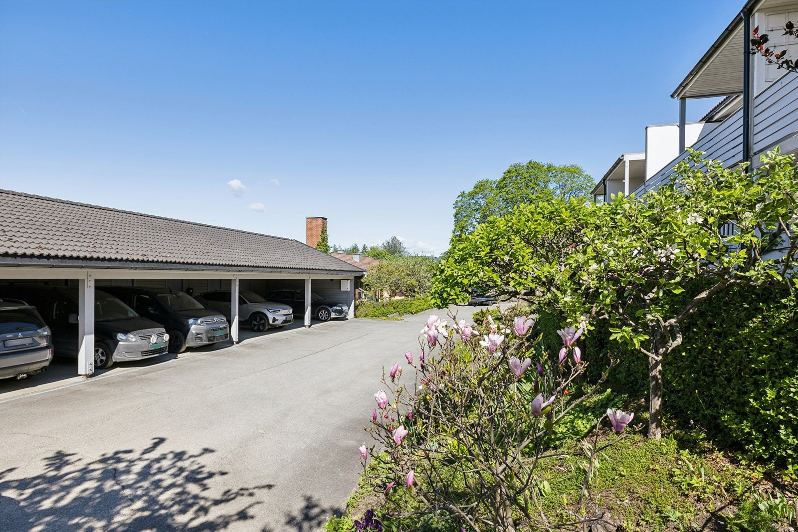 Gjesteparkering er utenfor carport, på asfaltert plass. Galleribilde