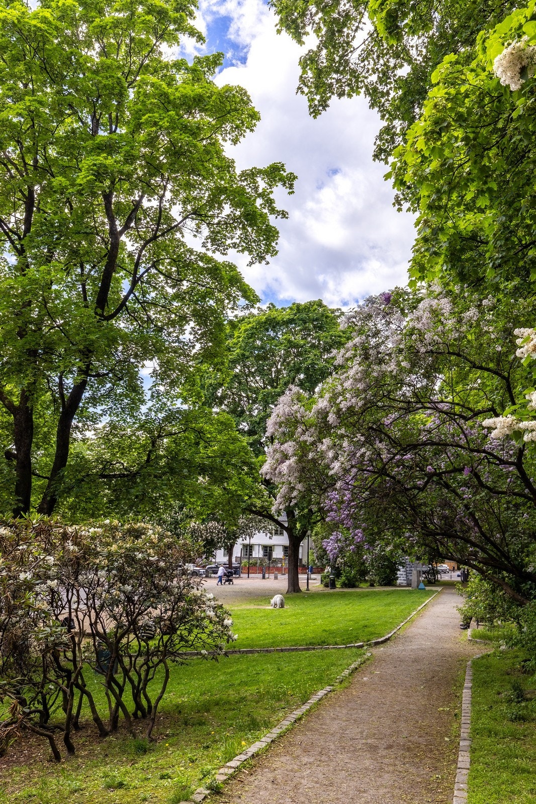 Området er omkranset av flere flotte parker og grøntområder Galleribilde