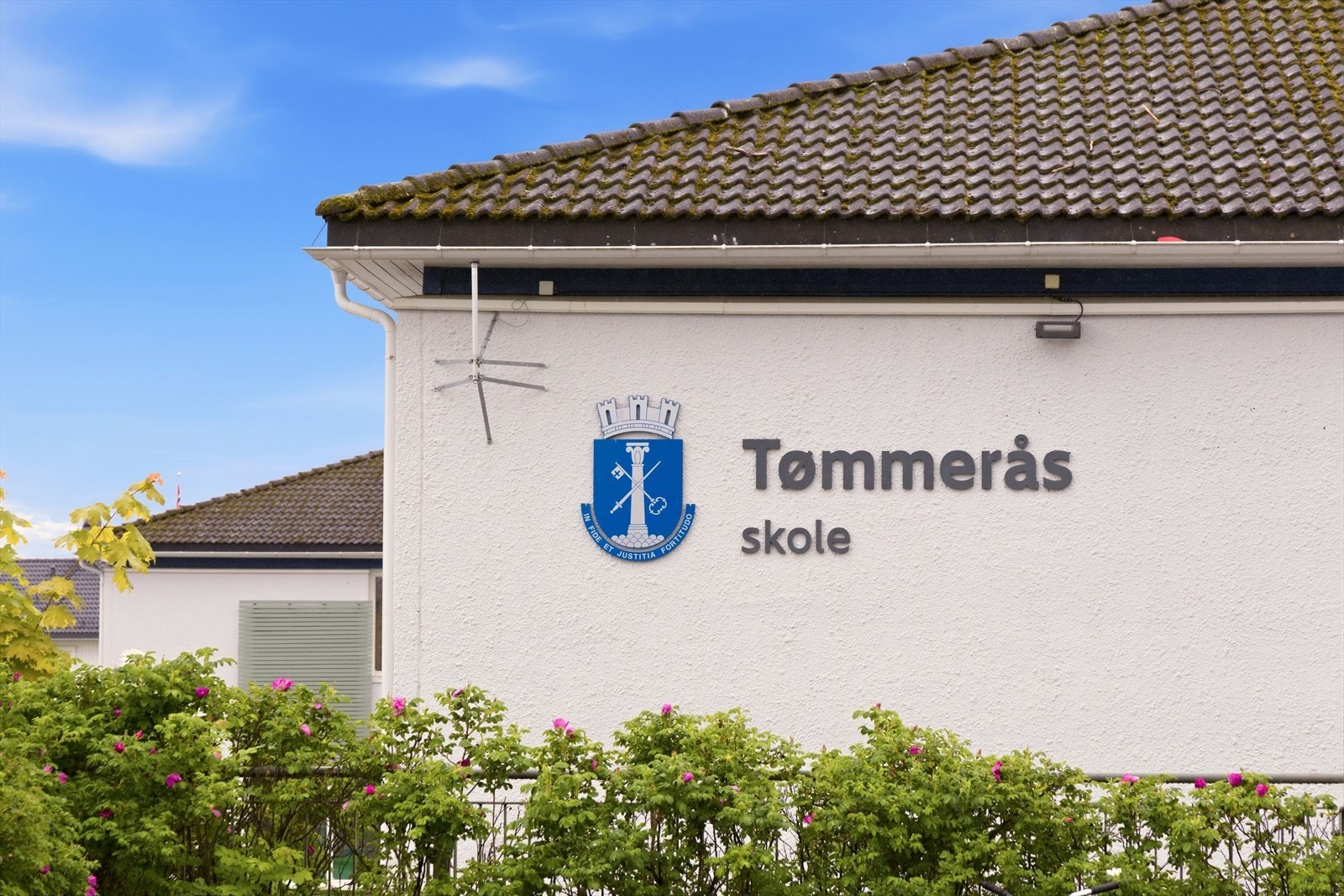 Tømmerås barneskole Galleribilde