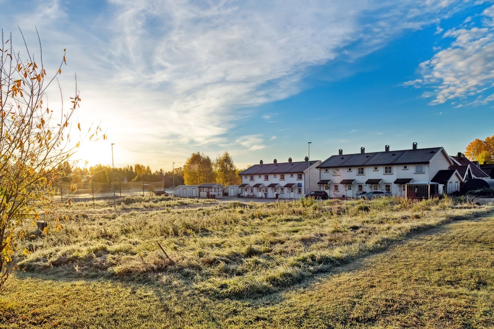 Tomteområdet. Galleribilde