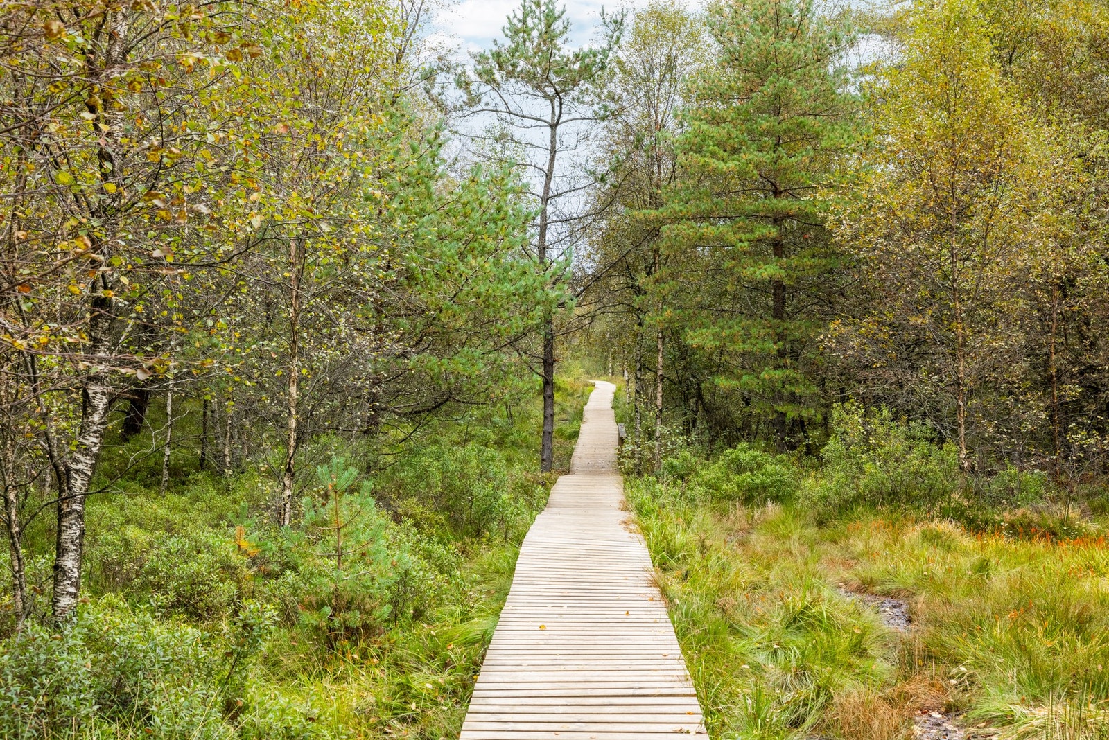 Det er flere flotte turmuligheter i området. Galleribilde