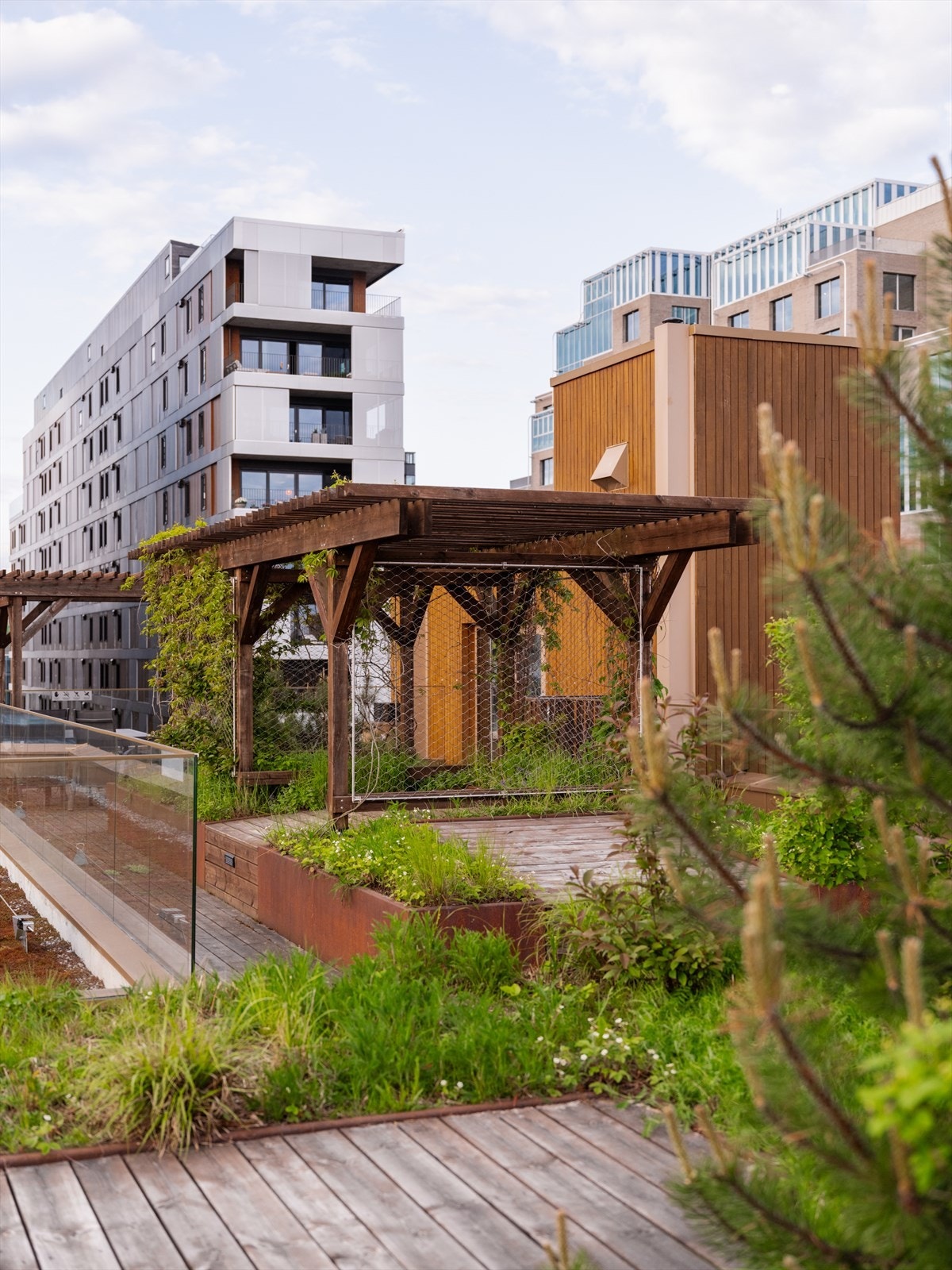 En grønn og frodig takterrasse til glede for sameiets beboere Galleribilde