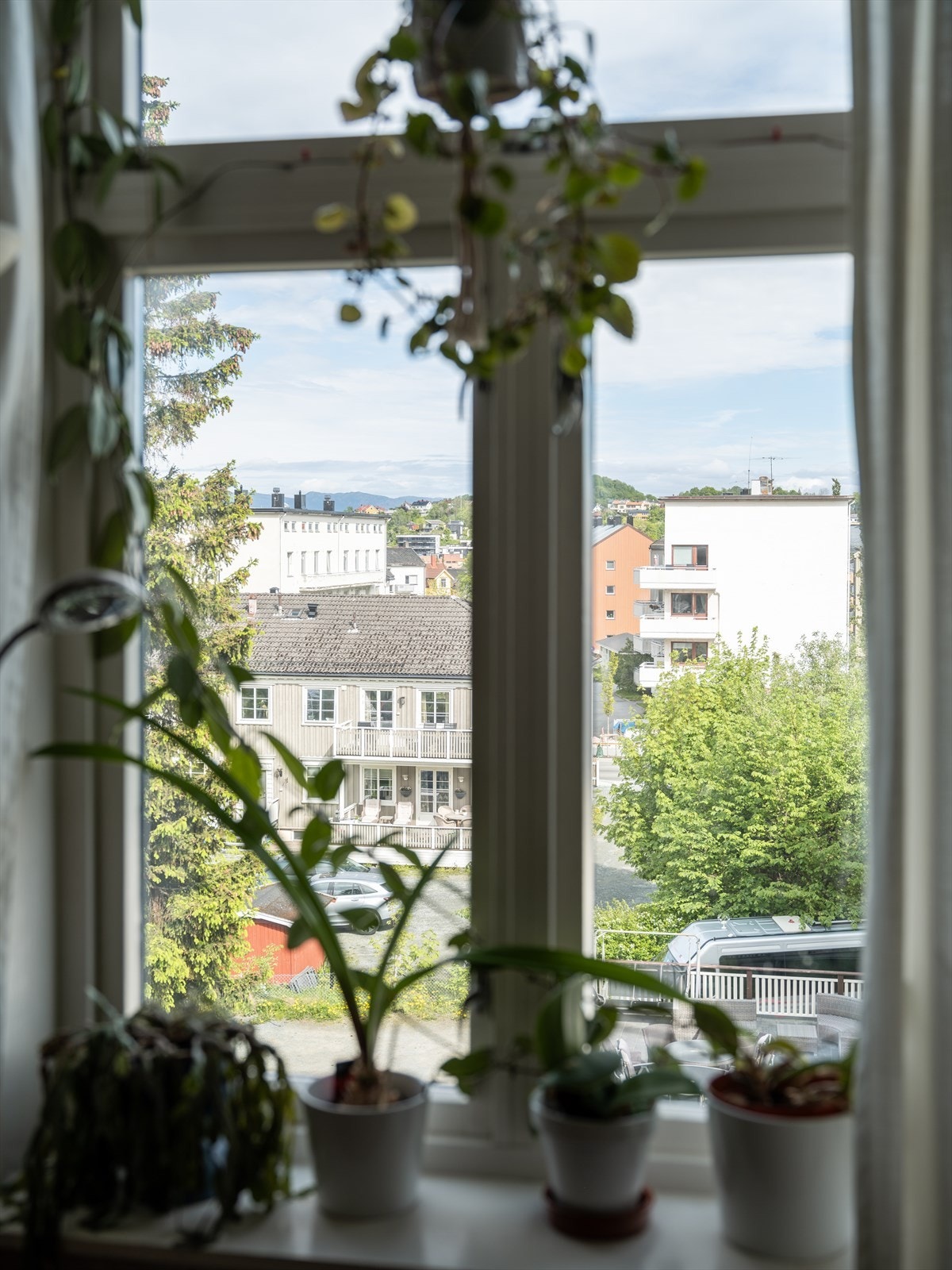 Det er kort vei til Kuhaugen, Kristiansten festning og Ladestien. Galleribilde