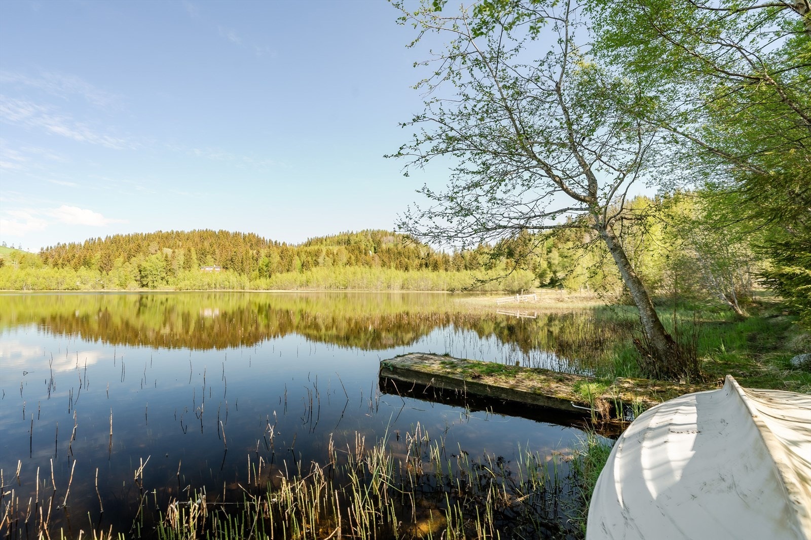 Kort vei til Rolivatnet gjør det enkelt å ta turen ned til vannet på varme sommerdager. Galleribilde