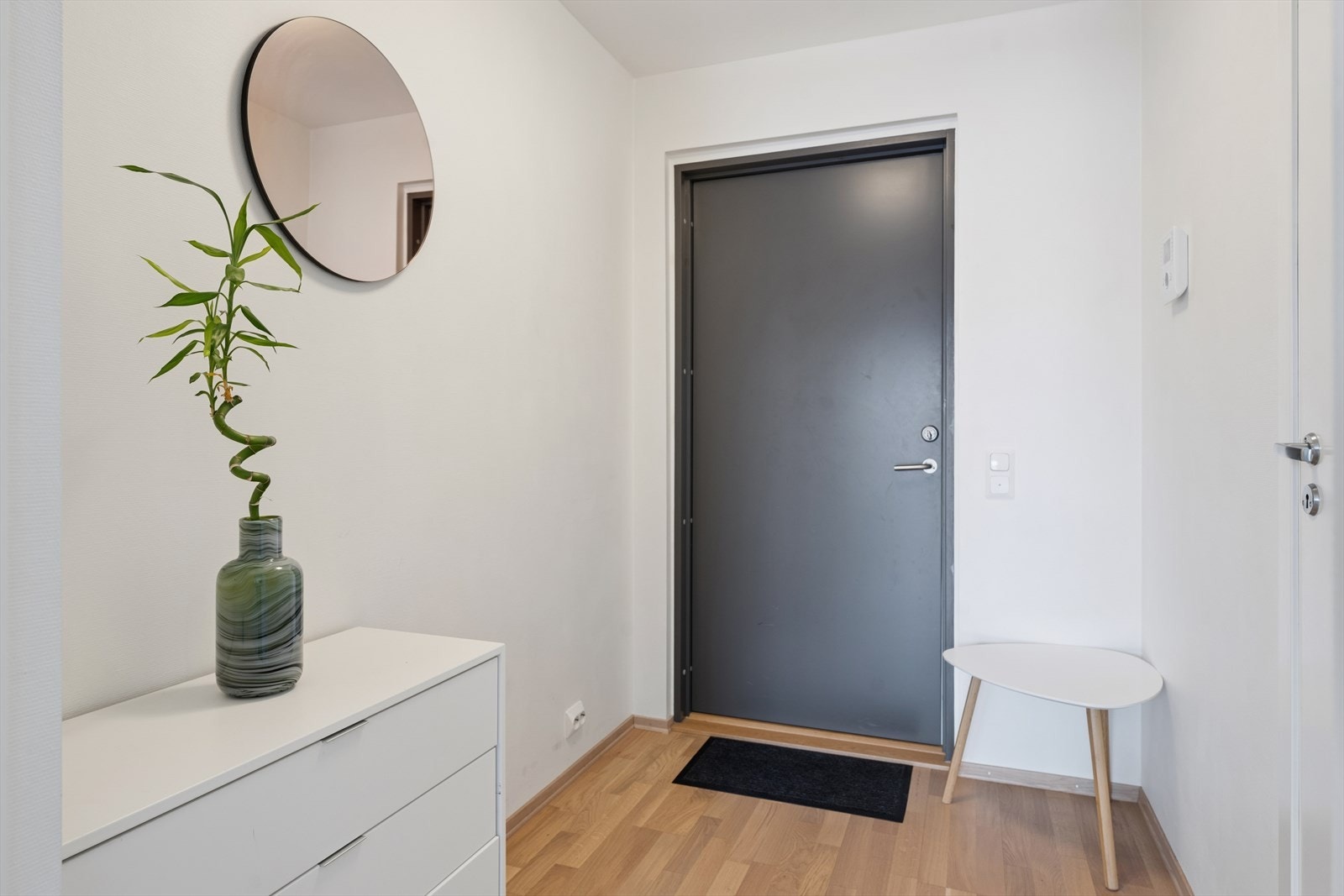 Entréen ønsker velkommen inn. Ytterdøren er en klassifisert branndør for økt sikkerhet. Galleribilde