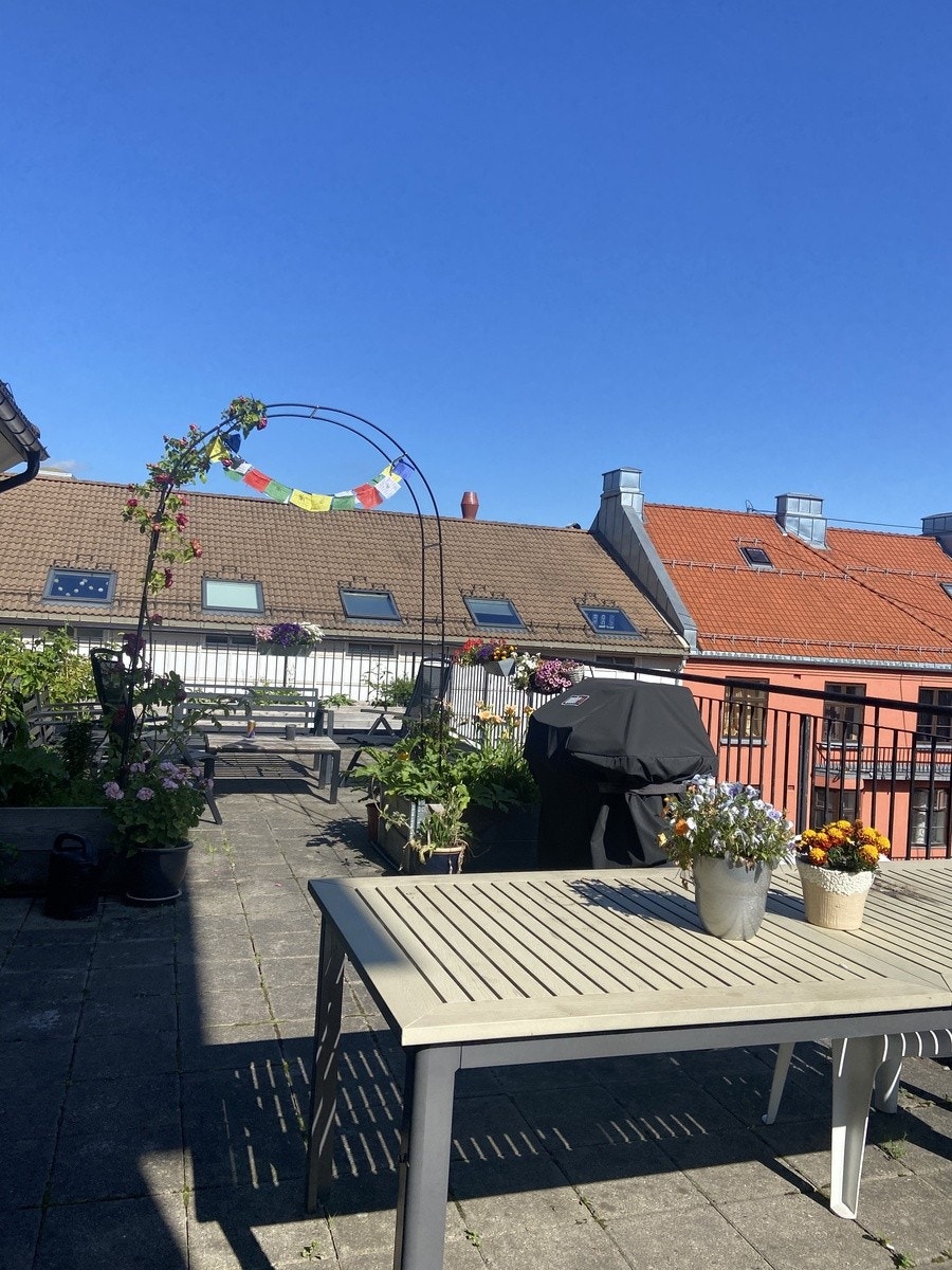 Takterassen Galleribilde