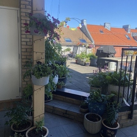 Takterrassen Galleribilde