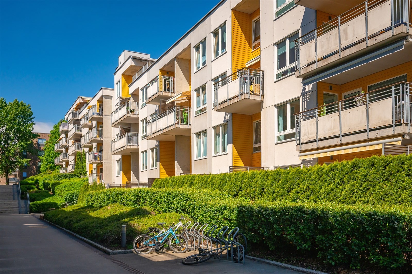 Fasade. Galleribilde
