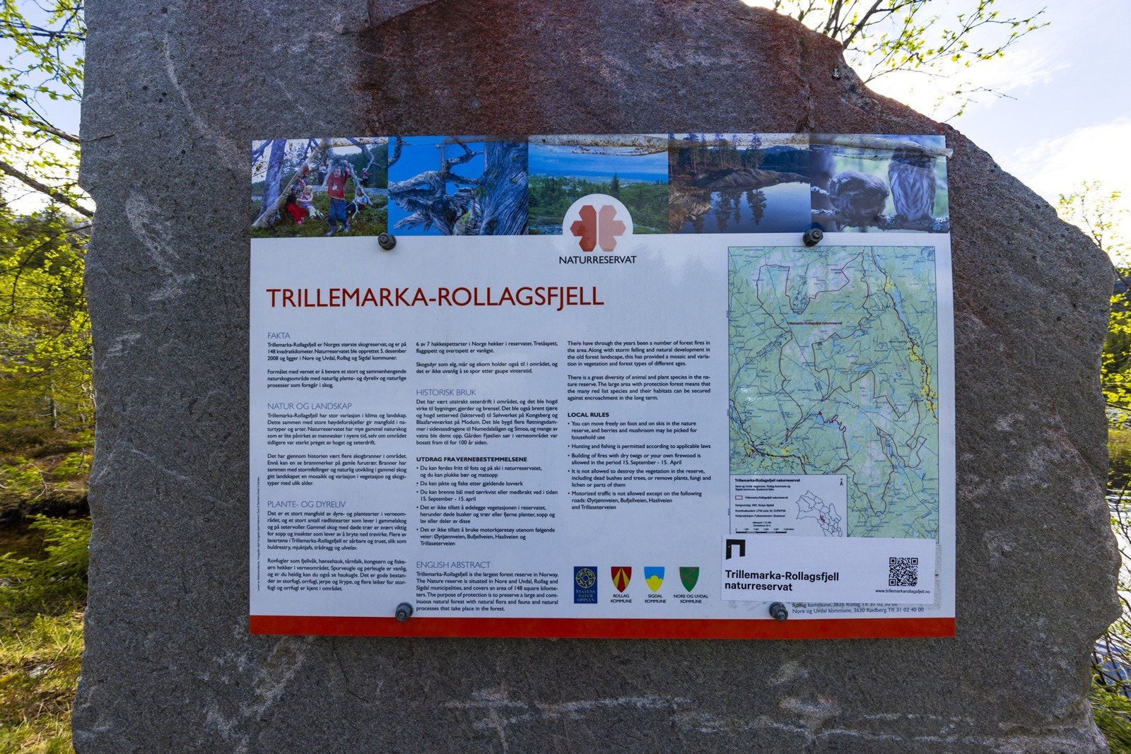 Hytta ligger i nærheten av Trillemarka-Rollagsfjell naturreservat. Galleribilde